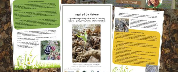 Check out the FREE Forest School Resources we are sharing!