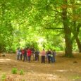 Booking are now open for the Level 2 - Award for Forest School Assistants starting on 28th March 2022.