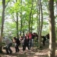Booking are now open for the Level 1 - Introduction to Forest School Ethos and Principles on 17th & 18th October 2022.