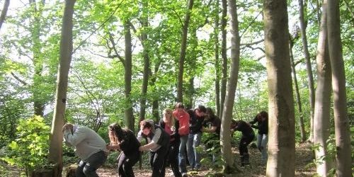 Booking are now open for the Level 1 - Introduction to Forest School Ethos and Principles on 17th & 18th October 2022.