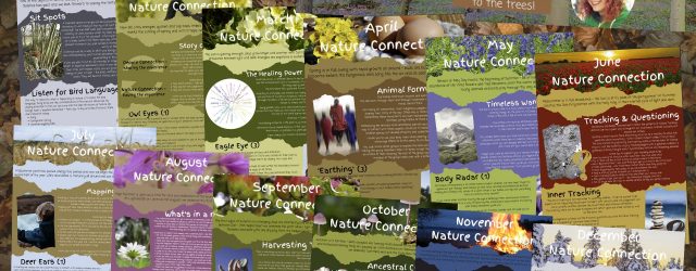 Deepen you connection to nature and claim you FREE monthly Nature Connection guide.